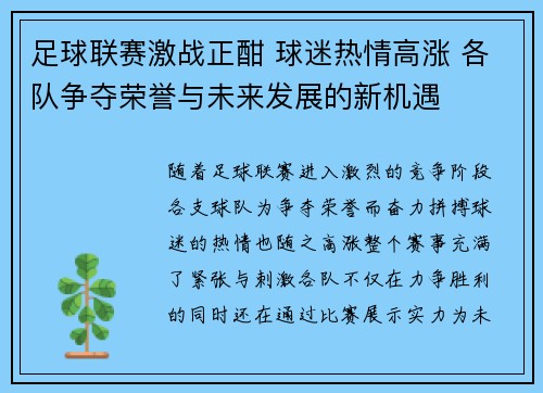 足球联赛激战正酣 球迷热情高涨 各队争夺荣誉与未来发展的新机遇