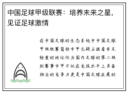中国足球甲级联赛：培养未来之星，见证足球激情