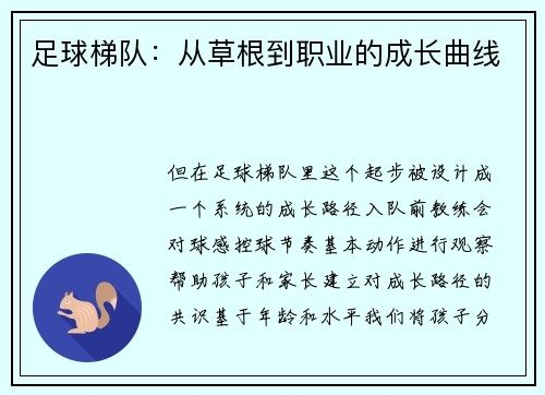 足球梯队：从草根到职业的成长曲线